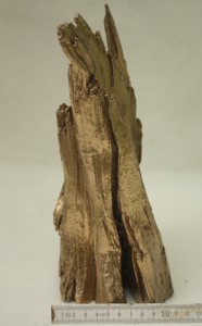 Goldenes Holz 001