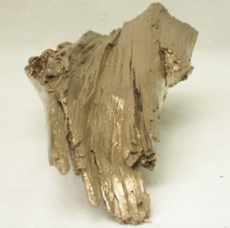 Goldenes Holz 001