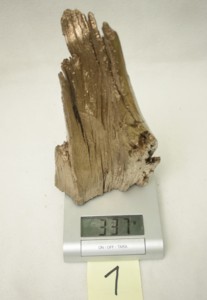 Goldenes Holz 001