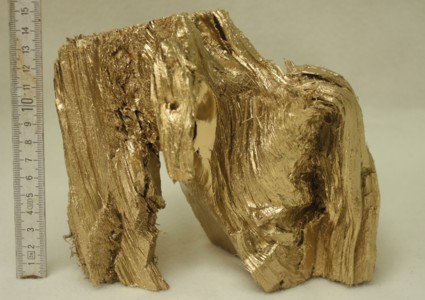 Goldenes Holz 002