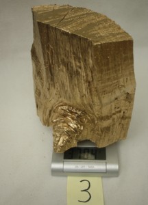 Goldenes Holz 003