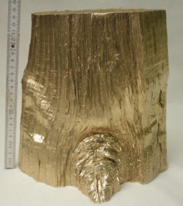 Goldenes Holz 003