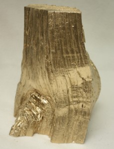 Goldenes Holz 003