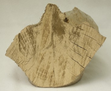 Goldenes Holz 003