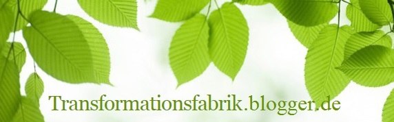 Blogbeitrge Transformationsfabrik Bjrn Geitmann spiritueller Blog